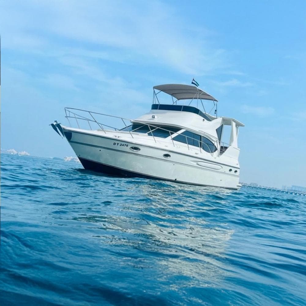 48 Feet Majesty