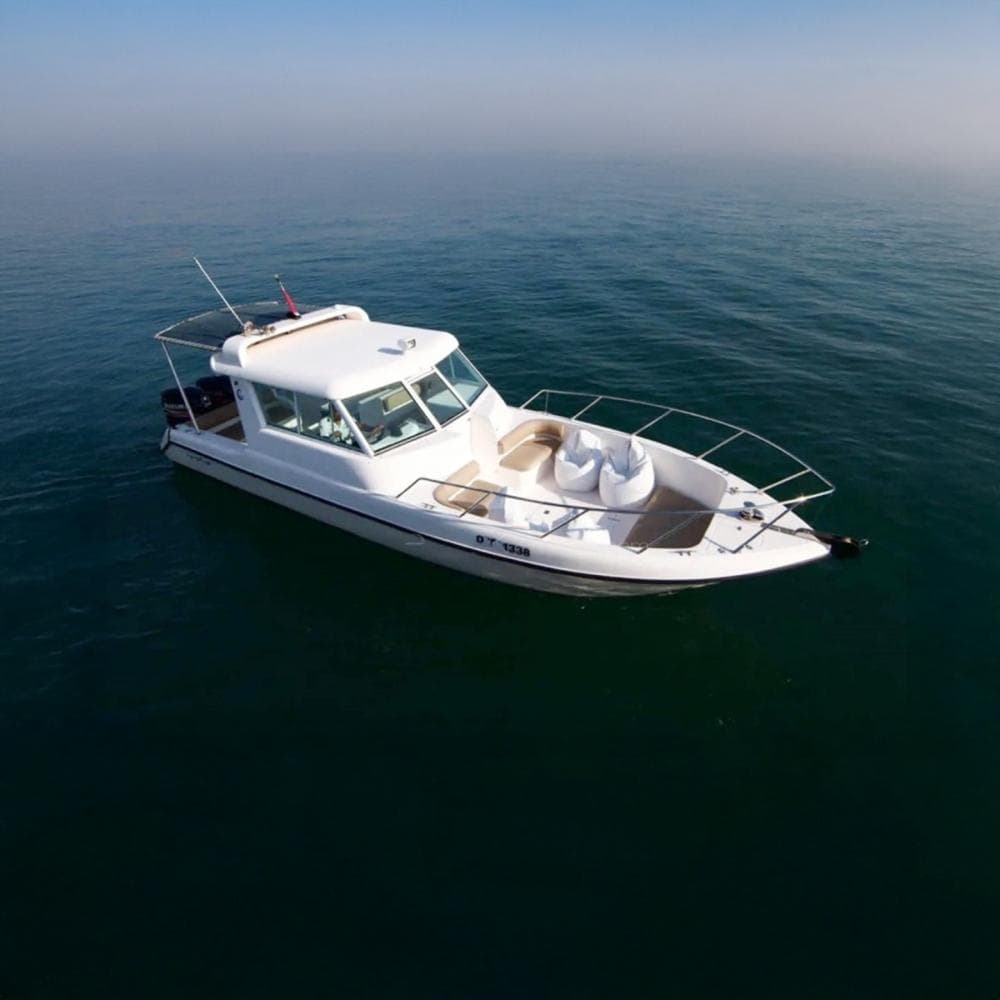 35 Feet Sightseeing Boat