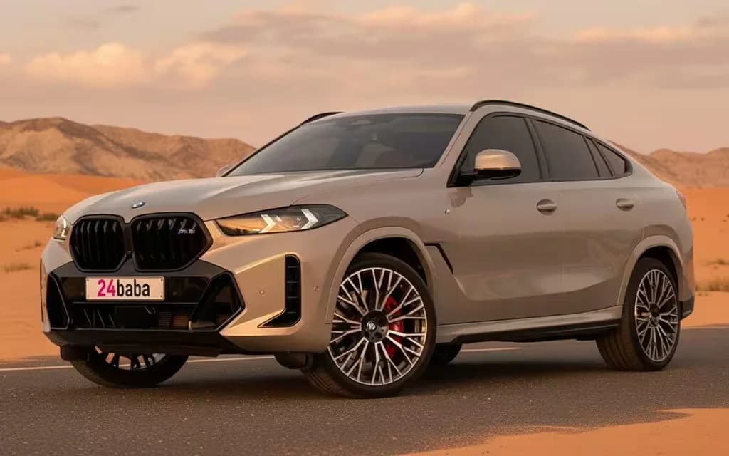 BMW X6