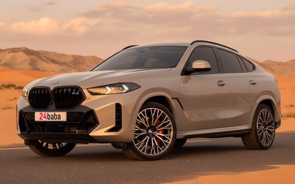 BMW X6